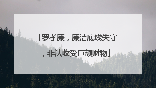 罗孝廉，廉洁底线失守，非法收受巨额财物