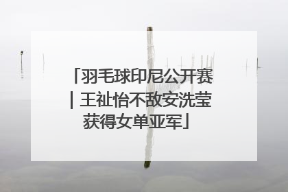 羽毛球印尼公开赛｜王祉怡不敌安洗莹 获得女单亚军