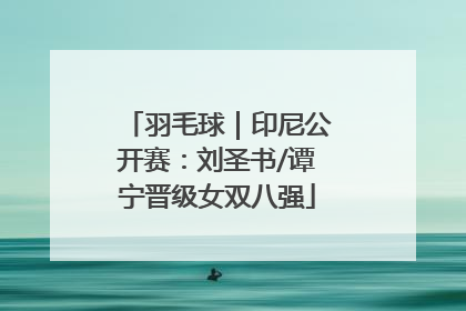 羽毛球｜印尼公开赛：刘圣书/谭宁晋级女双八强