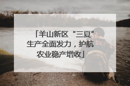 羊山新区“三夏”生产全面发力，护航农业稳产增收