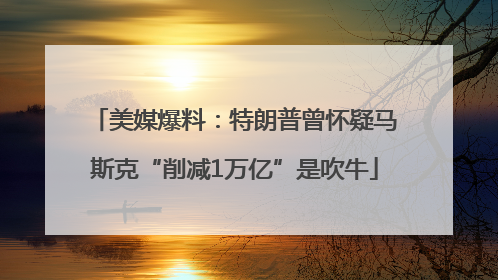 美媒爆料：特朗普曾怀疑马斯克“削减1万亿”是吹牛