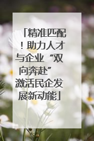 精准匹配！助力人才与企业“双向奔赴” 激活民企发展新动能