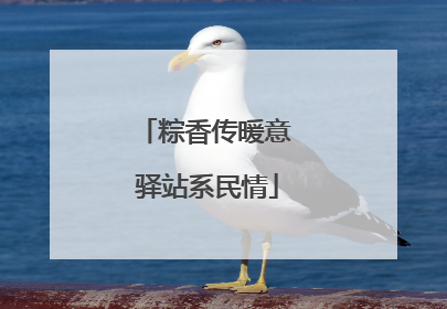 粽香传暖意 驿站系民情