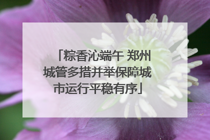 粽香沁端午 郑州城管多措并举保障城市运行平稳有序