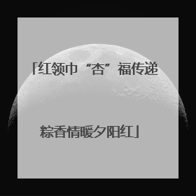 红领巾“杏”福传递 粽香情暖夕阳红