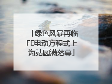 绿色风暴再临 FE电动方程式上海站圆满落幕