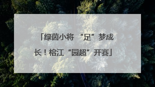 绿茵小将 “足”梦成长！榕江“园超”开赛