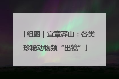 组图｜宜章莽山：各类珍稀动物频“出镜”