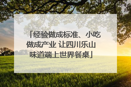 经验做成标准、小吃做成产业 让四川乐山味道端上世界餐桌