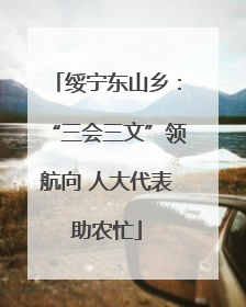 绥宁东山乡：“三会三文”领航向 人大代表助农忙