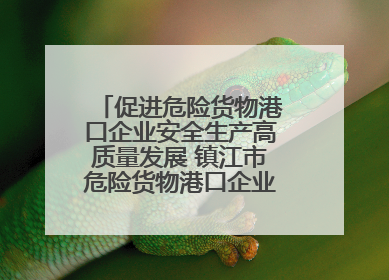 促进危险货物港口企业安全生产高质量发展 镇江市危险货物港口企业安全联盟成立