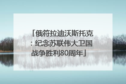 俄符拉迪沃斯托克：纪念苏联伟大卫国战争胜利80周年