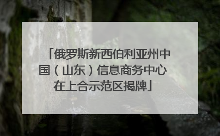 俄罗斯新西伯利亚州中国（山东）信息商务中心在上合示范区揭牌