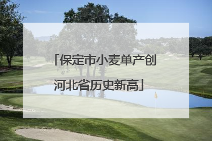 保定市小麦单产创河北省历史新高