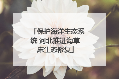 保护海洋生态系统 河北推进海草床生态修复