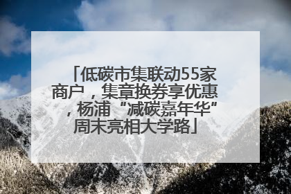 低碳市集联动55家商户，集章换券享优惠，杨浦“减碳嘉年华”周末亮相大学路