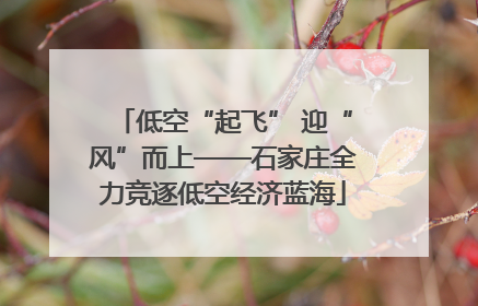 低空“起飞” 迎“风”而上——石家庄全力竞逐低空经济蓝海