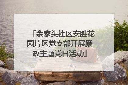 余家头社区安胜花园片区党支部开展廉政主题党日活动