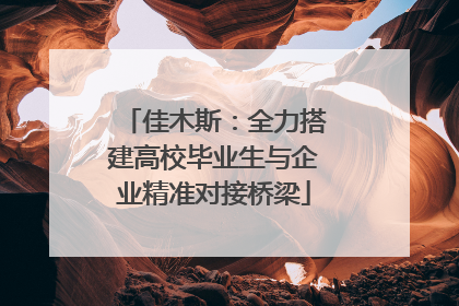 佳木斯：全力搭建高校毕业生与企业精准对接桥梁