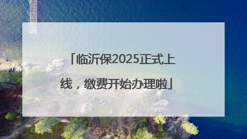 临沂保2025正式上线，缴费开始办理啦