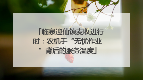 临泉迎仙镇麦收进行时：农机手“无忧作业”背后的服务温度