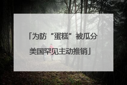 为防“蛋糕”被瓜分 美国罕见主动推销