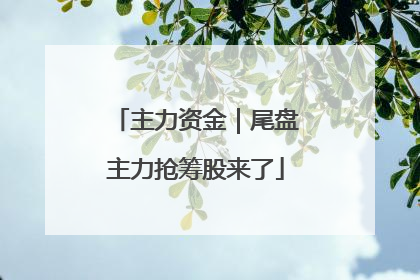 主力资金｜尾盘主力抢筹股来了