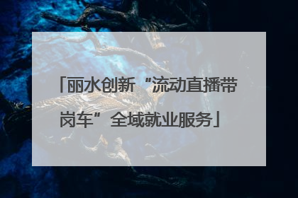 丽水创新“流动直播带岗车”全域就业服务