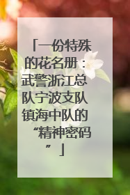 一份特殊的花名册：武警浙江总队宁波支队镇海中队的“精神密码”