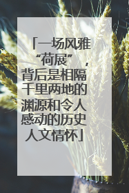 一场风雅“荷展”，背后是相隔千里两地的渊源和令人感动的历史人文情怀