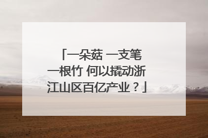 一朵菇 一支笔 一根竹 何以撬动浙江山区百亿产业？