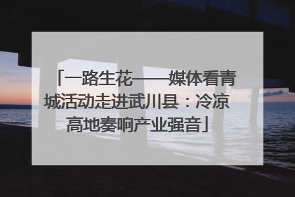 一路生花——媒体看青城活动走进武川县：冷凉高地奏响产业强音