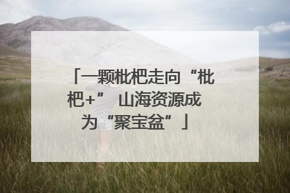 一颗枇杷走向“枇杷+” 山海资源成为“聚宝盆”