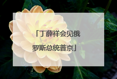 丁薛祥会见俄罗斯总统普京