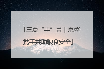 三夏“丰”景｜京冀携手共助粮食安全