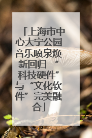 上海市中心大宁公园音乐喷泉焕新回归 “科技硬件”与“文化软件”完美融合