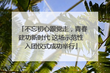不忘初心跟党走，青春建功新时代 这场示范性入团仪式成功举行