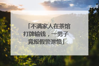 不满家人在茶馆打牌输钱，一男子竟报假警泄愤