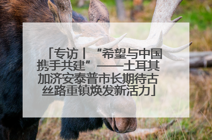 专访丨“希望与中国携手共建”——土耳其加济安泰普市长期待古丝路重镇焕发新活力