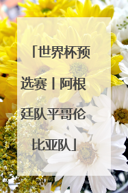 世界杯预选赛丨阿根廷队平哥伦比亚队