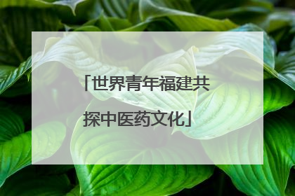 世界青年福建共探中医药文化