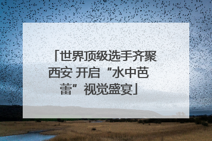 世界顶级选手齐聚西安 开启“水中芭蕾”视觉盛宴