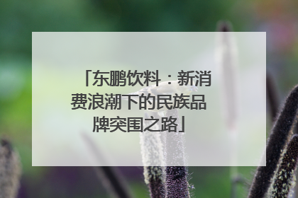 东鹏饮料：新消费浪潮下的民族品牌突围之路