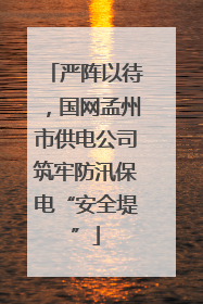 严阵以待，国网孟州市供电公司筑牢防汛保电“安全堤”