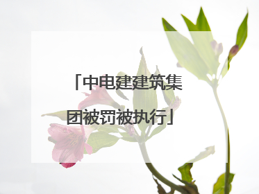 中电建建筑集团被罚被执行