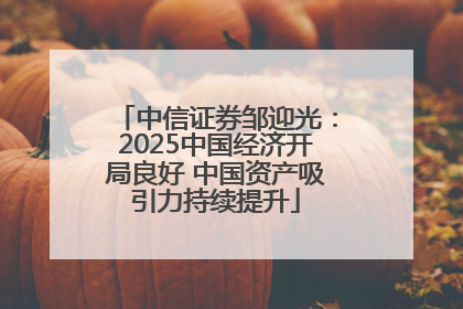 中信证券邹迎光：2025中国经济开局良好 中国资产吸引力持续提升