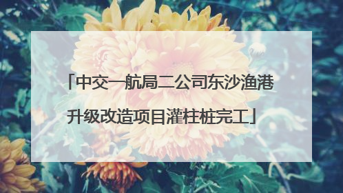 中交一航局二公司东沙渔港升级改造项目灌柱桩完工
