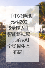 中兴通讯亮相2025全球人工智能终端展，展示AI全场景生态布局