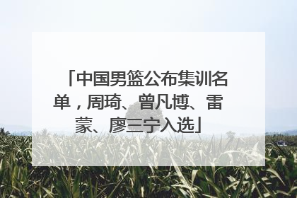 中国男篮公布集训名单，周琦、曾凡博、雷蒙、廖三宁入选