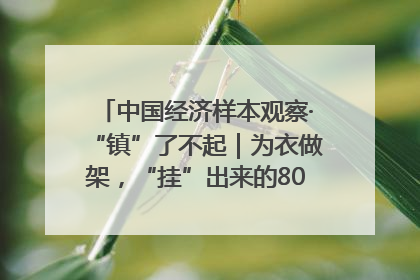 中国经济样本观察·“镇”了不起｜为衣做架，“挂”出来的80亿元“衣架产业”